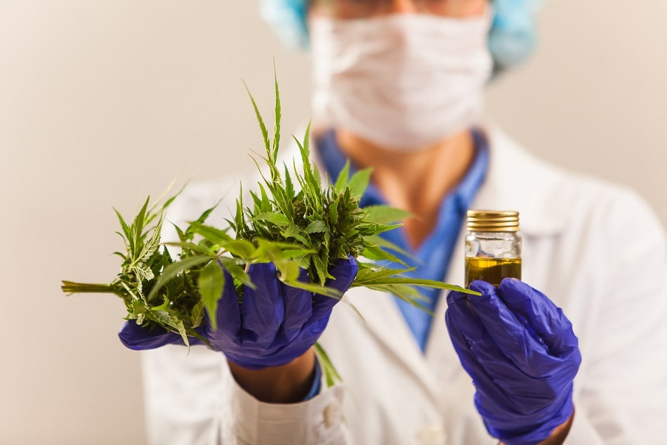 Cannabis analysis HPLC Vs. GC